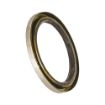 Picture of Rear Wheel Seal 01-06 MB/Dodge/Freightliner Sprinter Van SRW Nitro Gear and Axle